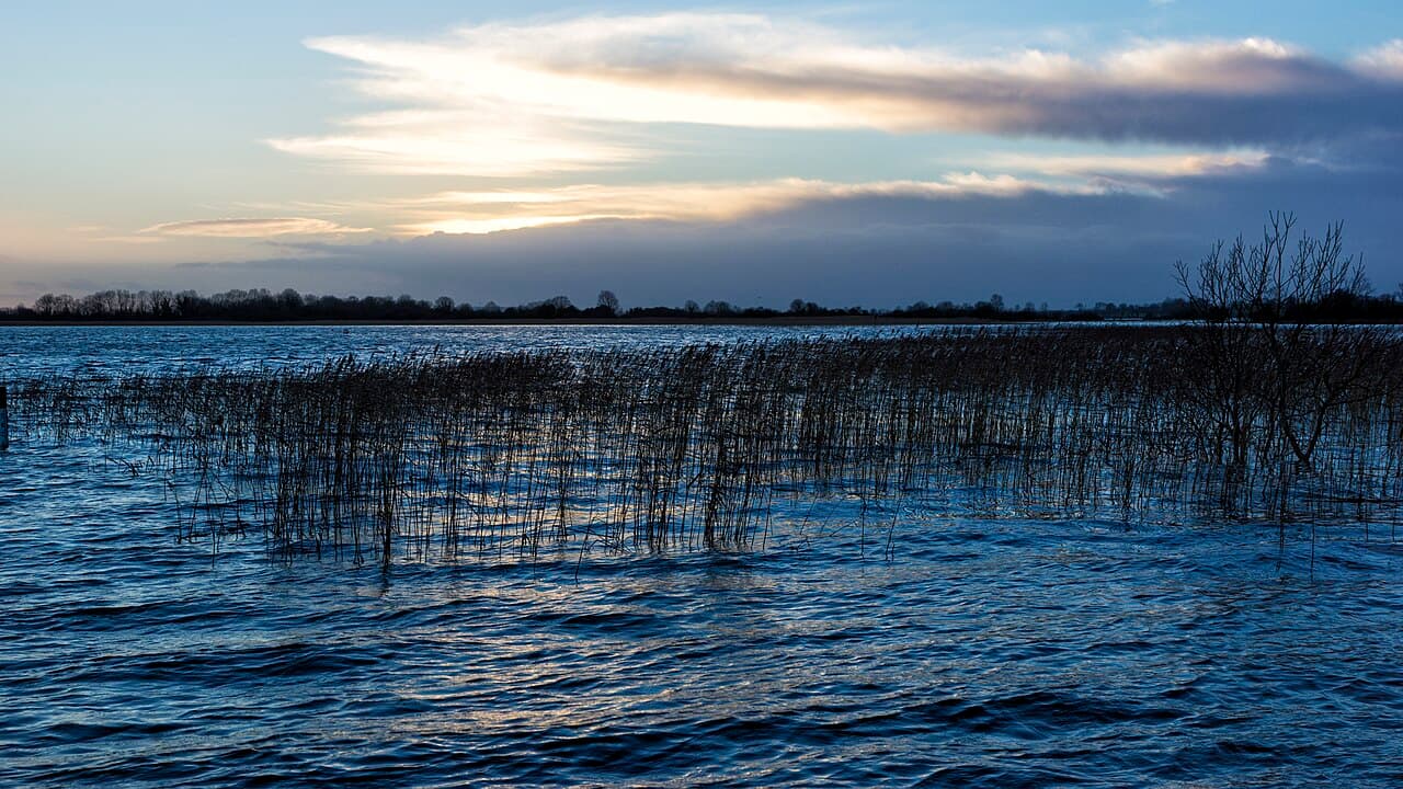 Fishing at Lanesborough, Co. Longford