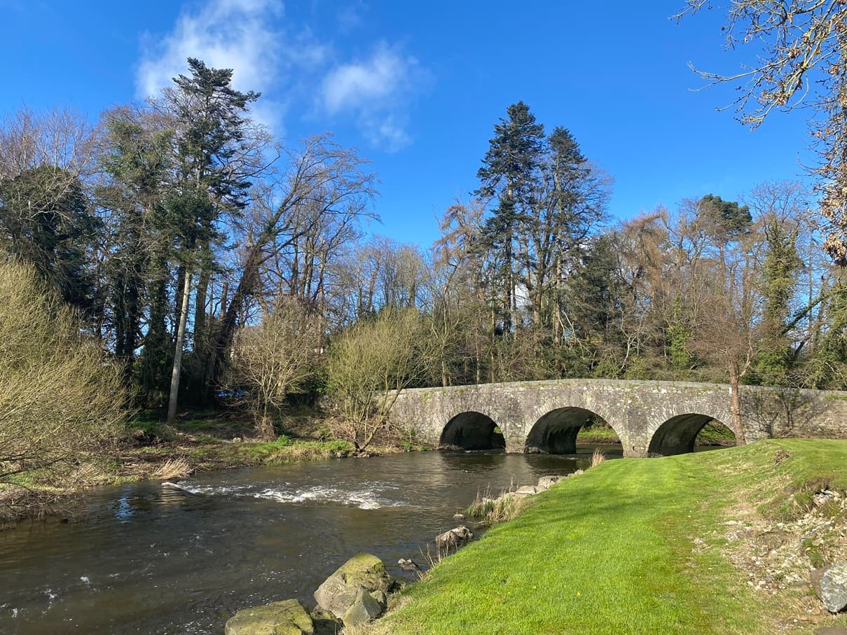 Fishing at River Lagan, Co. Armagh