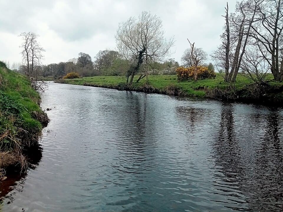 River Roe